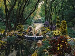 -上海共青森林公园