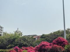 -溪岸路花鸟市场