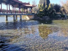-洛龙公园