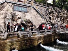 -教师之家赵家羊汤馆(东青龙街店)
