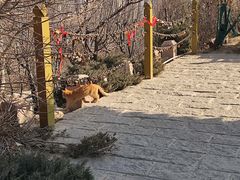 -南翠屏公园