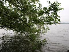 -苏堤停车场
