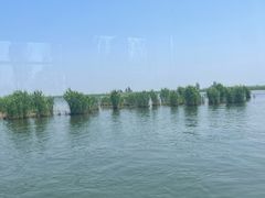 -白洋淀风景区