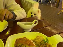 -Paulaner·德国帕拉娜自酿啤酒餐厅(海上世界店)