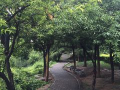 -西安汉城湖景区