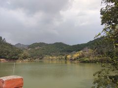 -广州白江湖森林公园