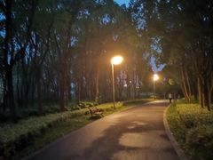 -昆山城市生态森林公园