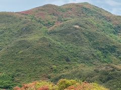 -大围山国家森林公园