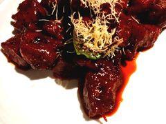 -荟廷·晶萃(陆家嘴尚悦湾店)