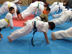 -金翼跆拳道巴西柔术拳击格斗学院