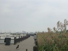 -洪泽湖古堰景区