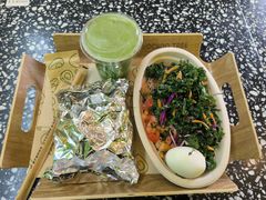 -油梨树AVOCADO TREE(顺义新国展店)