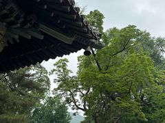 -潭柘寺景区