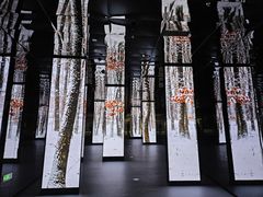 -中国湿地博物馆