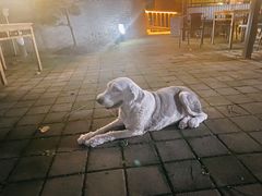 -张鸟园农家乐(张鸟园店)