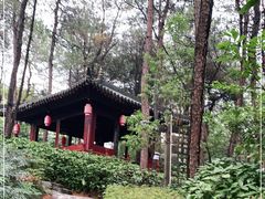 -铁山坪森林公园