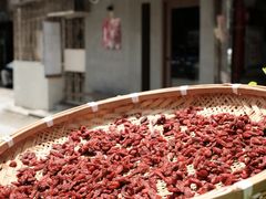 -Again Coffee Roaster(香蜜湖店)