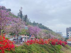 -小南山公园