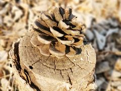 -沈阳辉山风景区