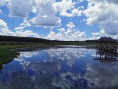 -塞罕坝国家级自然保护区