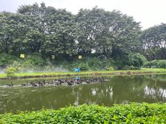 -广州长隆飞鸟乐园