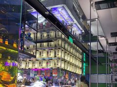 -亚马逊海鲜自助(万象汇店)