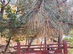 -北京十三陵国家森林公园蟒山景区