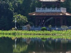 -东山湖公园