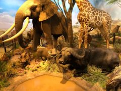 -陕西自然博物馆