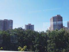 -阁瑞居闫记卤煮(乔庄北街店)