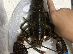 波士顿大龙虾-盒马鲜生(大成店)