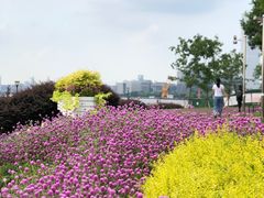 -上海山野camping·户外天幕烧烤·团建拓展营地