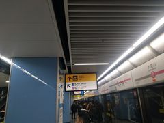 -大龙山(地铁站)