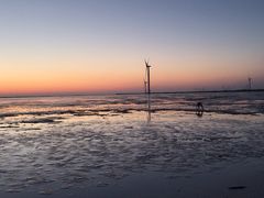 -盐城丹顶鹤湿地生态旅游区