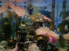 -太平洋海底世界