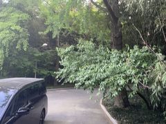 -终南山国家森林公园