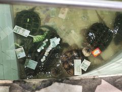 -昆明动物园