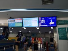 -奥体中心游泳馆