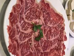 -食为先(Shark Fin)