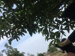 -大罗山风景区