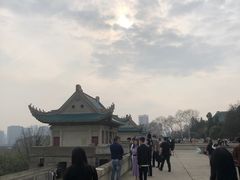 -武汉大学-樱园