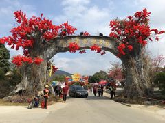 -天适樱花悠乐园