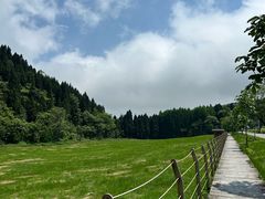 -武陵山森林公园