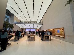 -Apple零售店(苏州店)