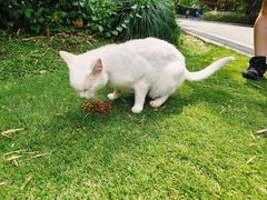 -苏州河梦清园环保主题公园