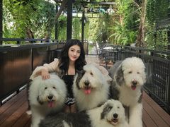 -TrueLove @ Neverland (Husky Cafe)