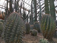-南山植物园