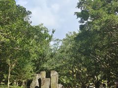 -海口火山口国家地质公园