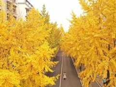 -四川大学(望江校区)