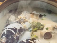 -姜君·千岛湖鱼头馆(浦东大道店)